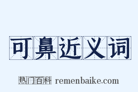 可鼻近义词是什么意思的图片